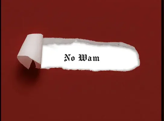 Skiibii No Wam Ft. BhadBoi OML 3