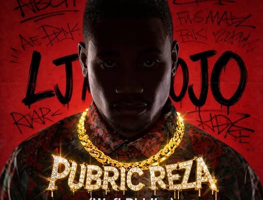 LJ Mojo - Pubric Reza (WYFL Riddim)