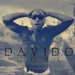Davido – Gobe