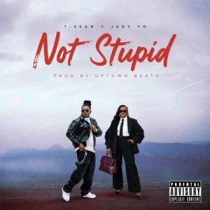 Not Stupid Mp3 Download